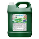 SABONETE PEROLIZADO ERVA DOCE5 5 LTS